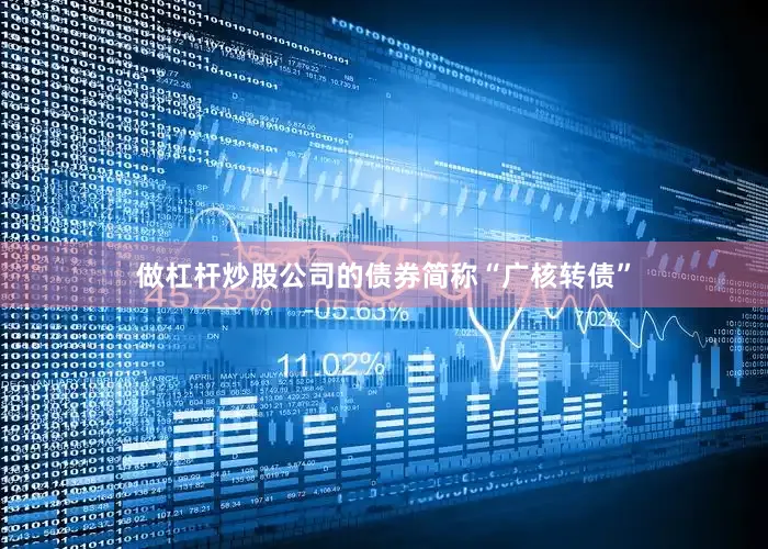 做杠杆炒股公司的债券简称“广核转债”